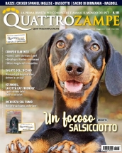 quattrozampe