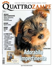 quattrozampe
